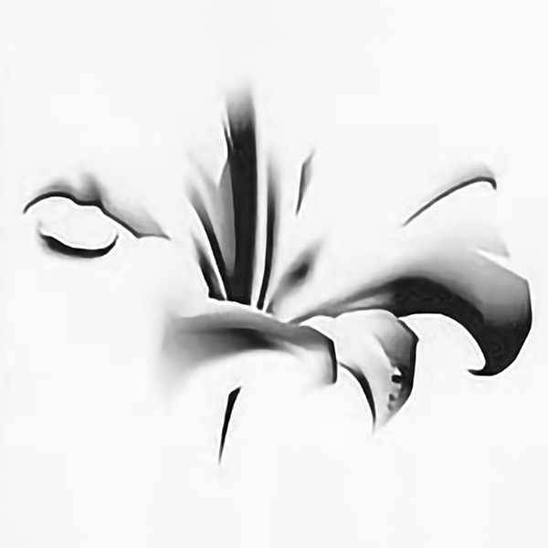 Dj O-M - Smooth vibes